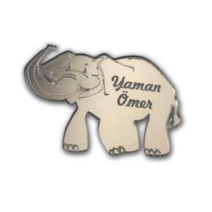 Pleksi Magnet