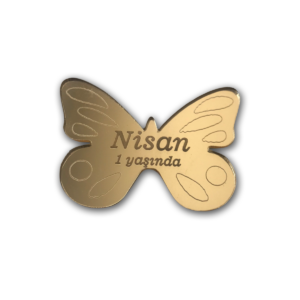 Pleksi Magnet